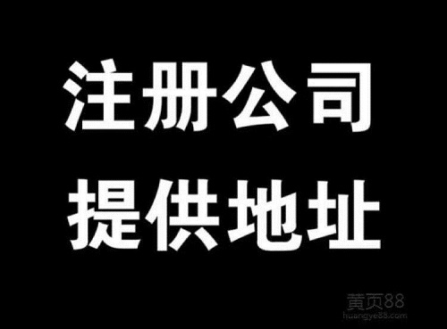 嘉兴注册公司，法人可以用其他人吗？法人有什么风险！